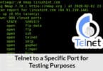 Telnet to a Specific Port for Testing Purposes