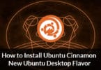 How to Install Ubuntu Cinnamon New Ubuntu Desktop Flavor