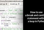 How to use a break and continue statement within a loop in Python