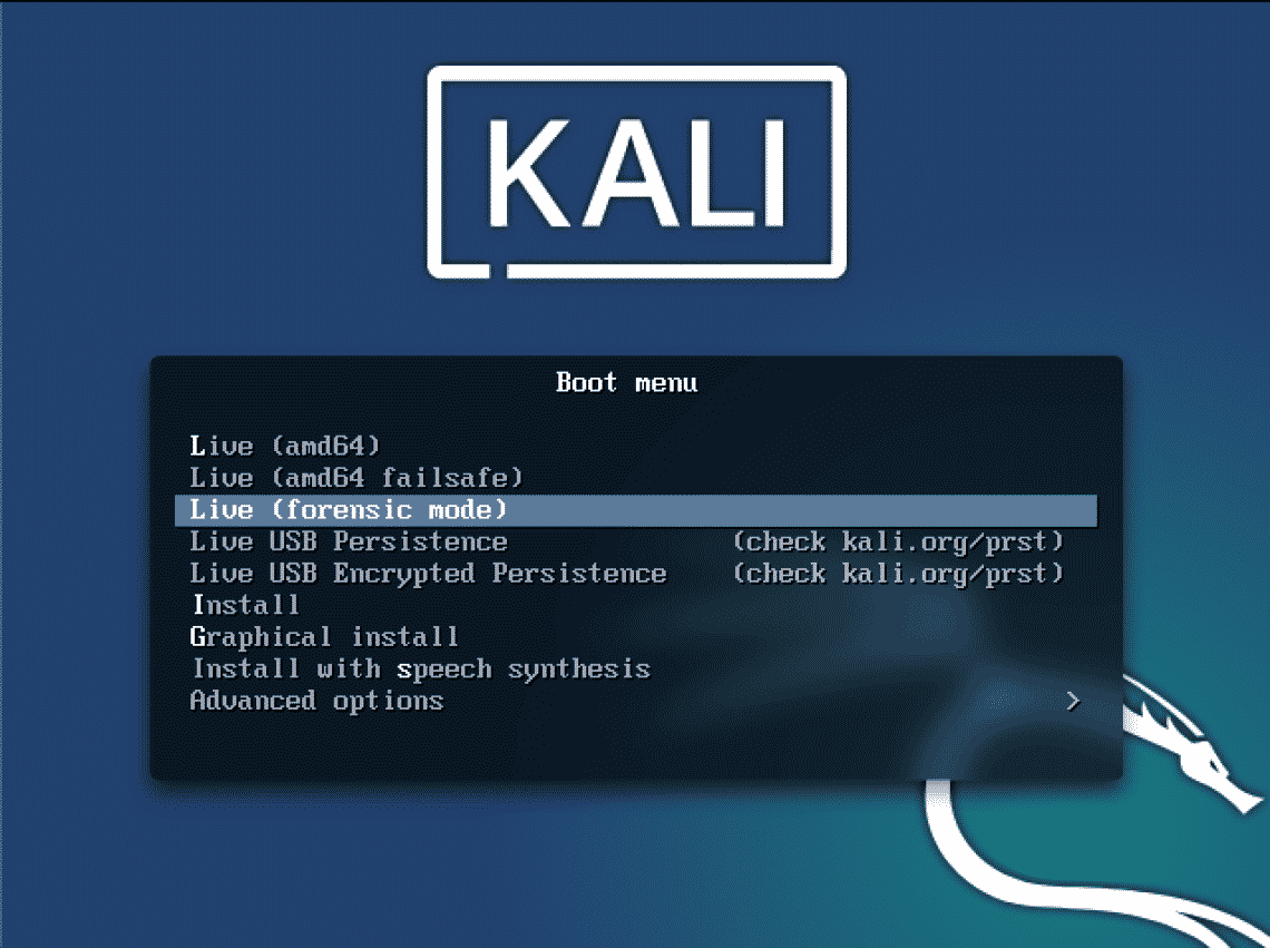 install kali linux from usb