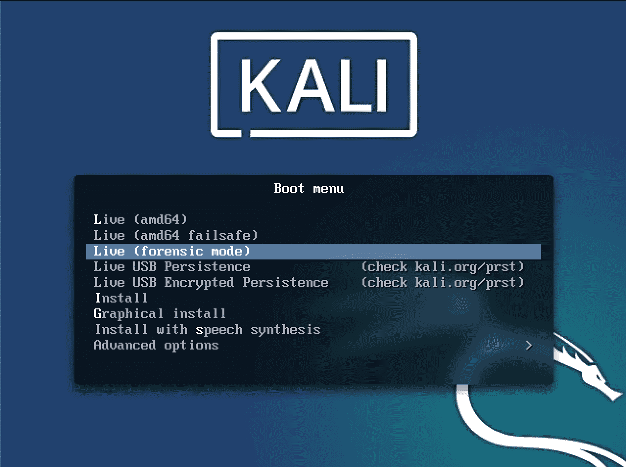 kali linux live mode