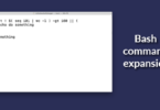Bash command expansion