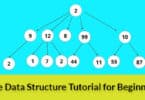 Tree Data Structure Tutorial for Beginners