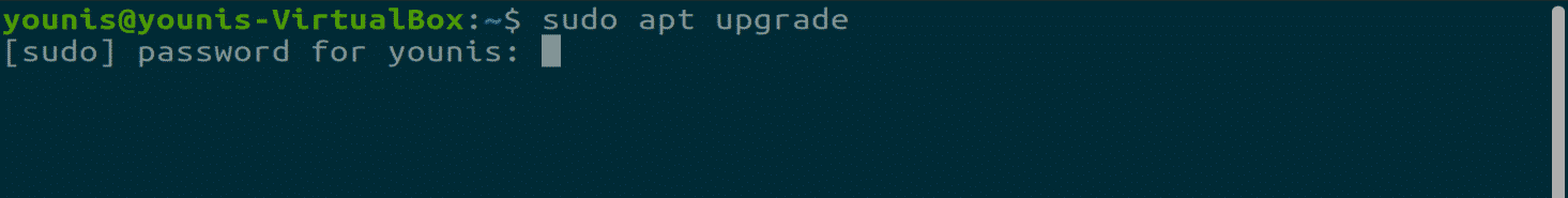 Sudo apt update