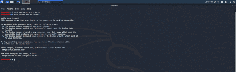 kali on docker