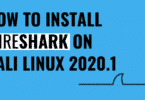 Install Wireshark Package in Kali Linux