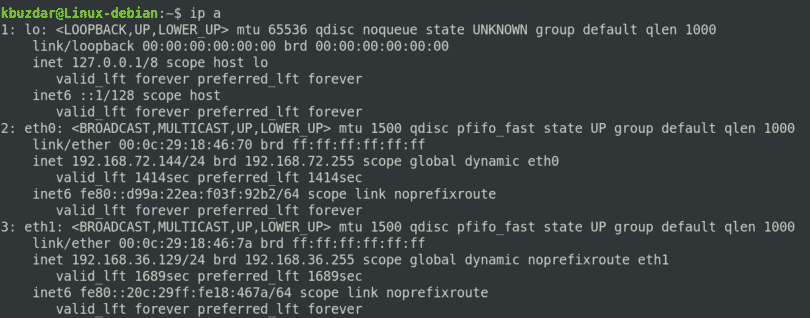 List Network Interfaces in Debian 10