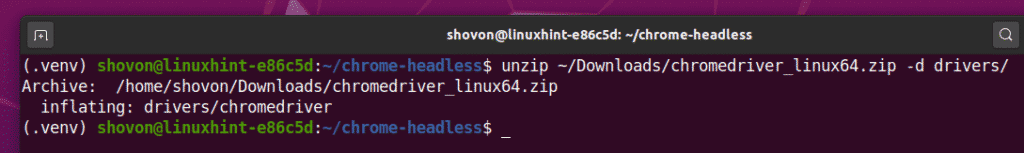 chromedriver ubuntu install