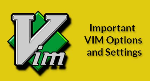 Important VIM Options and Settings