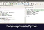 Polymorphism in Python