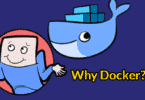 Why Docker?