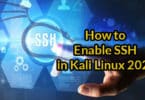 How to Enable SSH in Kali Linux 2020