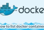 How to list docker containers