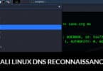 KALI LINUX DNS RECONNAISSANCE