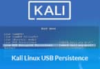 Kali Linux USB Persistence