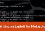 Writing an Exploit for Metasploit