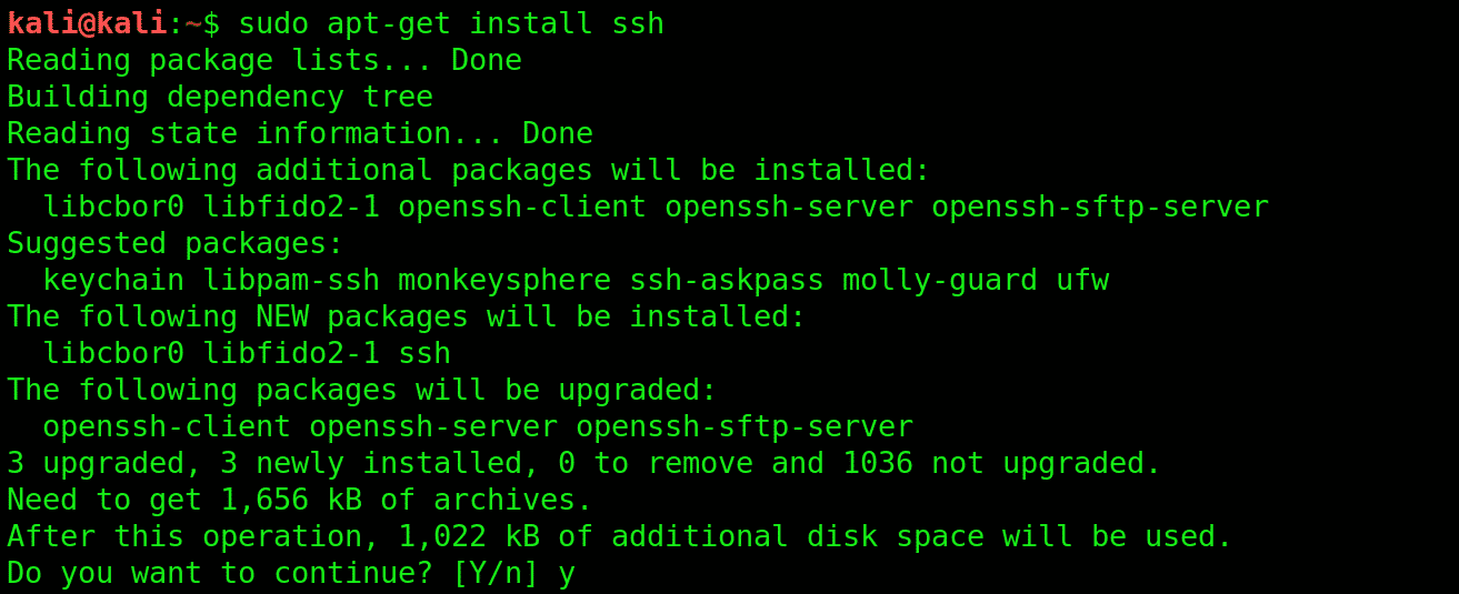 sudo apt get install ssh