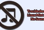 Troubleshoot Linux Mint 20 No Sound