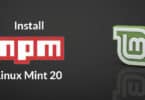 Install npm Linux Mint 20