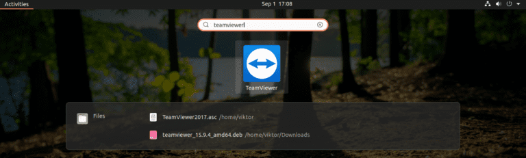 team viewer for ubuntu