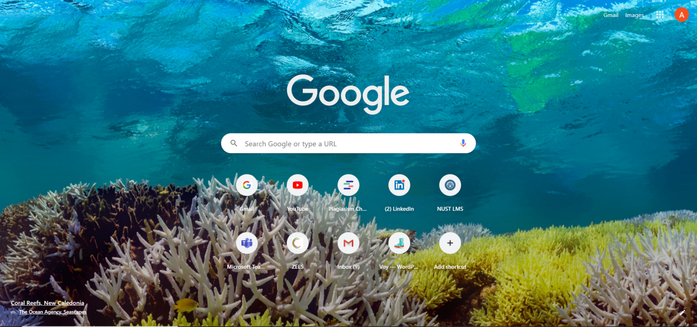 How to Customize the New Tab Page Background on Google Chrome?