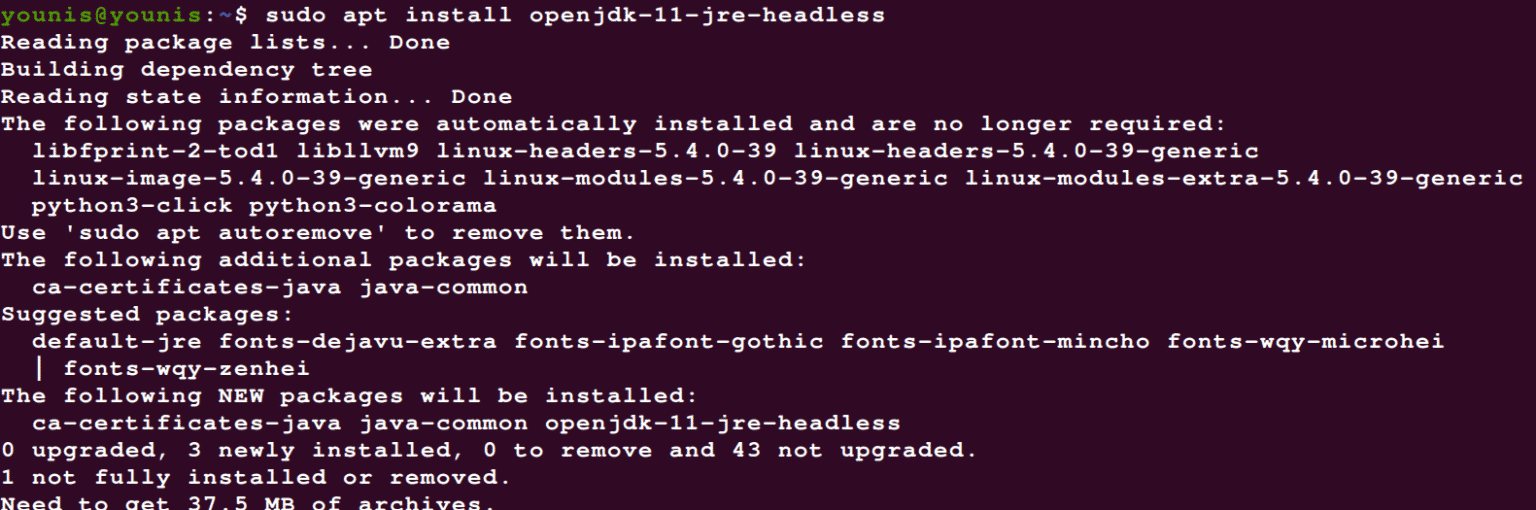 install openjdk 11 ubuntu 20.04