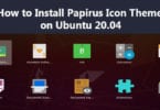 How to Install Papirus Icon Theme on Ubuntu 20.04