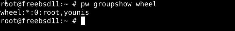 add-users-to-wheel-group-in-freebsd