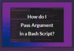 How do I Pass Argument in a Bash Script?