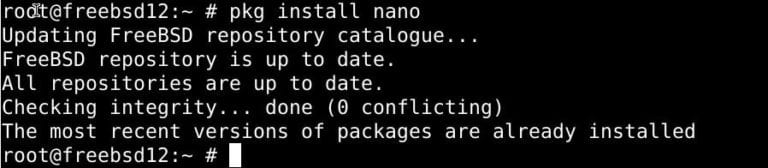 install-nano-on-freebsd