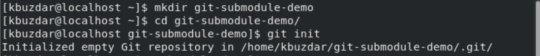 git submodule point to branch