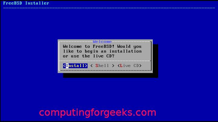 https://computingforgeeks.com/wp-content/uploads/2019/10/how-to-install-freebsd-kvm-07-1.png