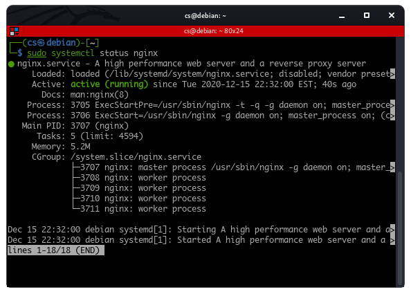 Woning Maak plaats Gematigd Start, Stop, and Restart Nginx Web Server on Linux
