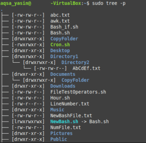 Bash Tree Command