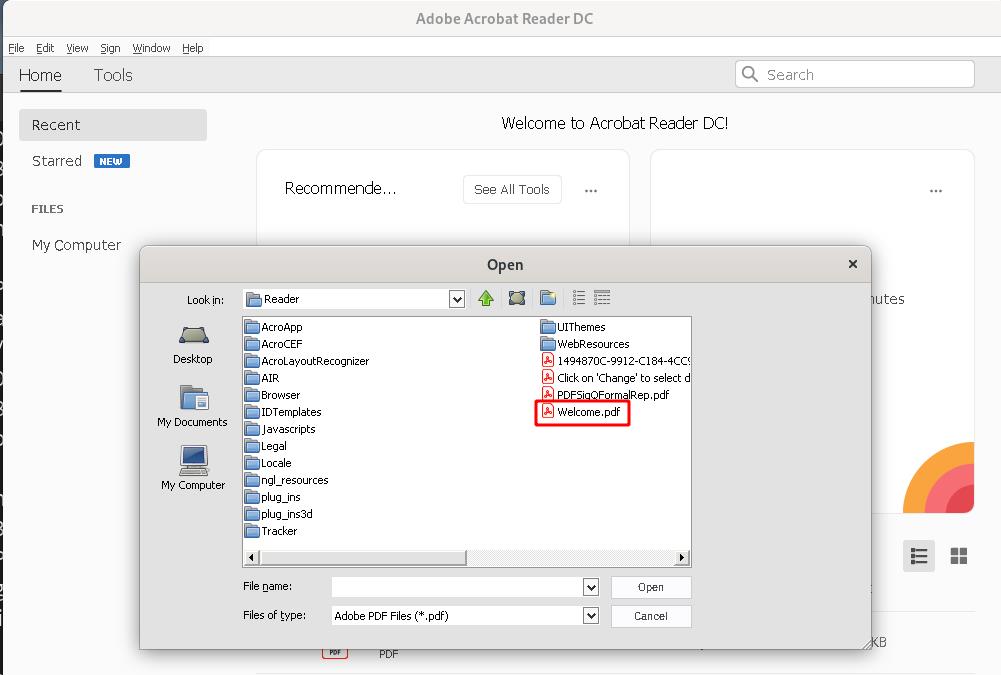 open adobe reader in new window