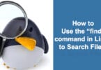 How to Use the “find” command in Linux to Search Files?