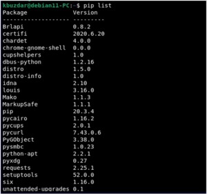 debian pip debian pip