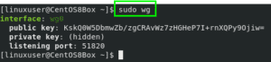 Wg quick wg0 service. Wg quick wg0 service