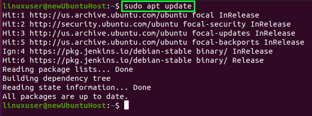 Bin bash no such file. Sudo Apt update.