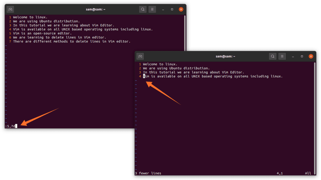 How to delete lines in Vi/Vim? Linux Hint