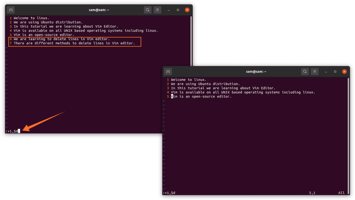 how-to-delete-lines-in-vi-vim