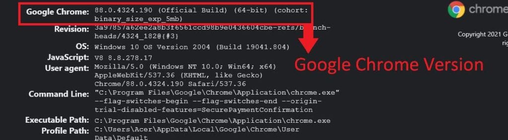 how-to-check-google-chrome-browser-version-linux-hint