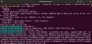 ffmpeg mp4 linux
