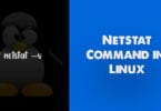 Netstat Command in Linux