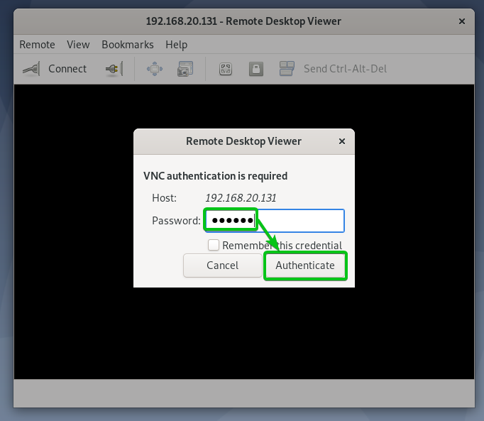 vnc viewer for ubuntu 20.04