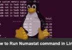 How to Run Numastat command in Linux