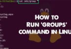How to Run ‘groups’ command in Linux