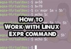 How to Work with Linux Expr command