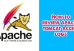 How to review Apache tomcat access logs